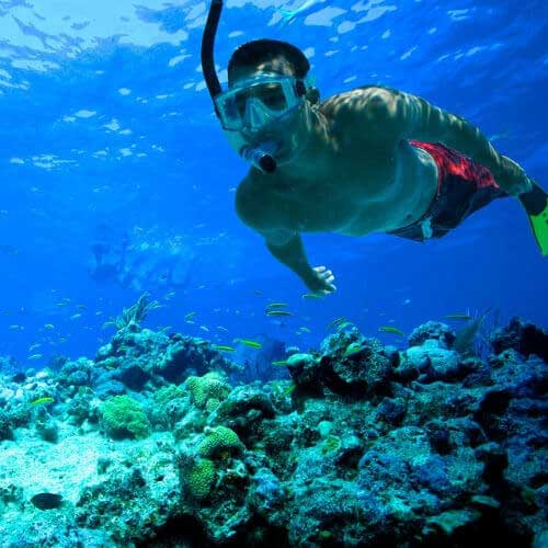 Snorkeling Andaman